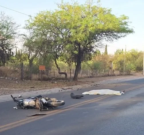 Falleció un motociclista cerca de Las Tapias, tras impactar contra un árbol