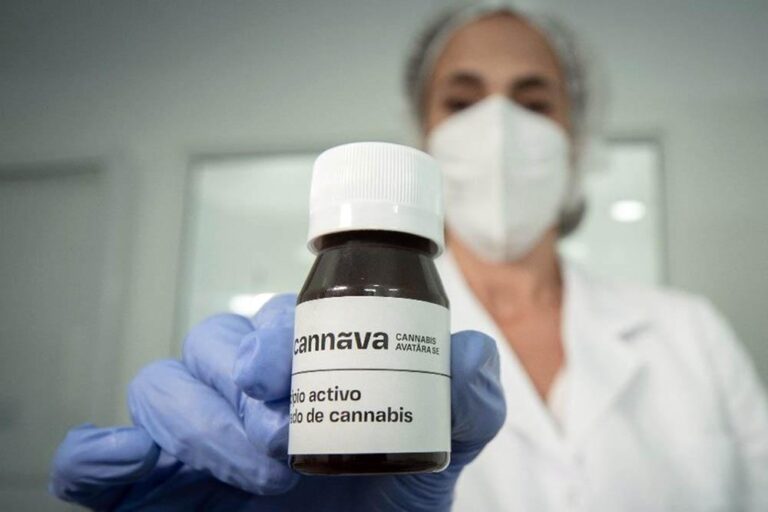 Anmat autorizó la venta del primer aceite de cannabis hecho en Argentina