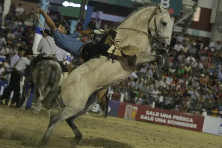 Tras el nuevo brote de encefalomielitis, confirman el Festival de Jesús María