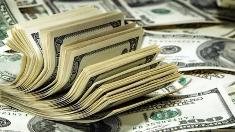 El dólar cerró el año al alza y el Banco Central sigue comprando divisas