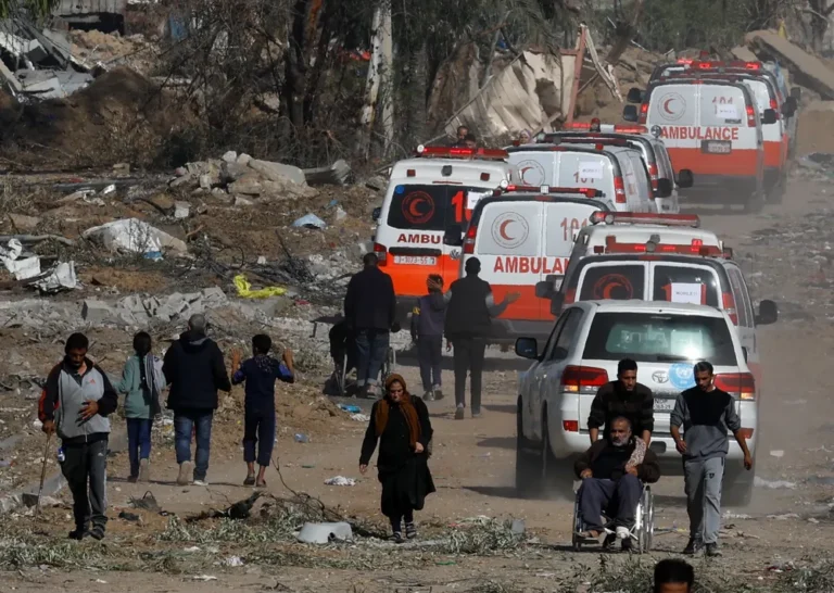 La OMS alerta sobre «la creciente amenaza de enfermedades infecciosas» en la Franja de Gaza
