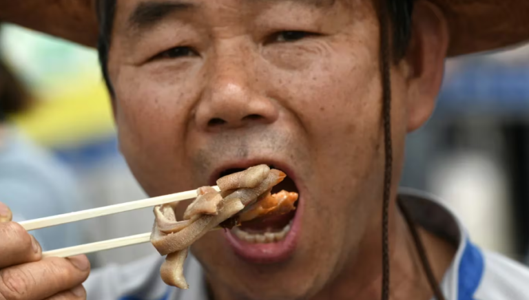 Corea del Sur prohibió el consumo de carne de perro a partir de 2027