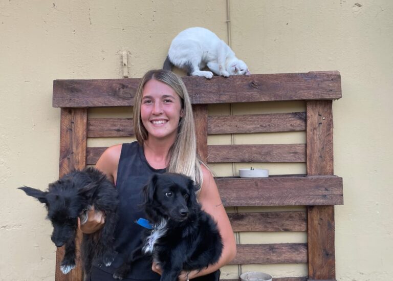 Colitas Felices: Cuidando a tus mascotas con pasión y compromiso