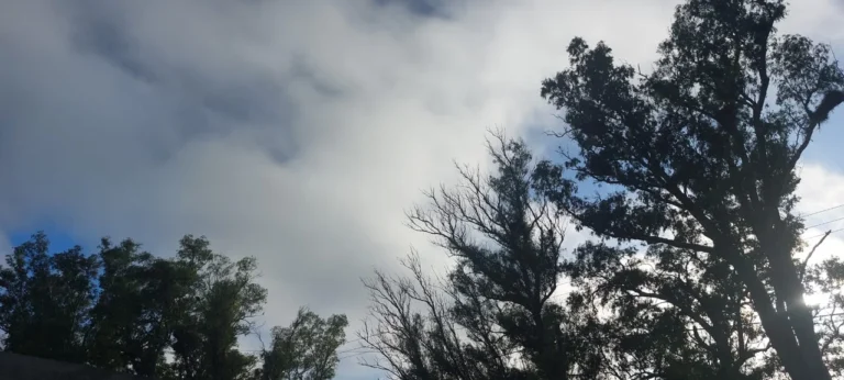 Alerta Meteorológico: Cambios en el clima para los próximos días