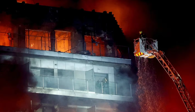 Las víctimas silenciosas del incendio en las torres de Valencia: 100 mascotas murieron atrapadas por el fuego