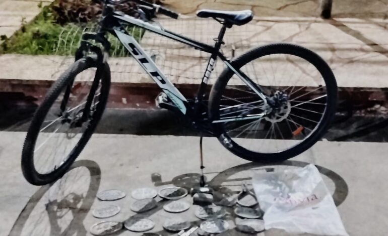  Recuperaron placas de bronce robadas y una bicicleta