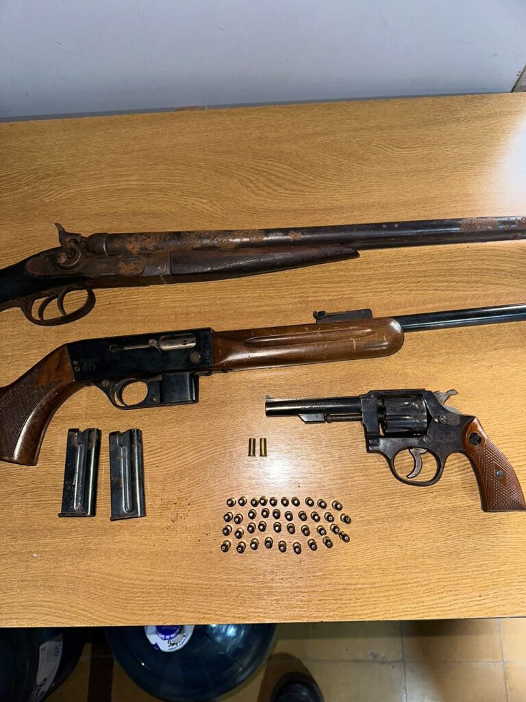 Freyre: secuestraron armas de fuego en un campo