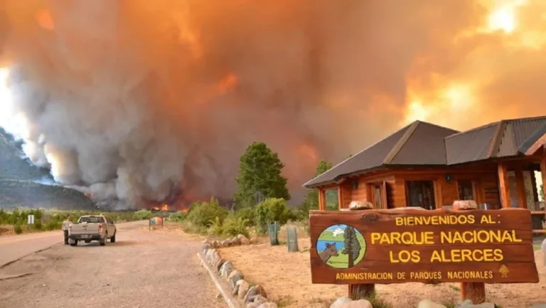 Casi 60 mil hectáreas de zonas protegidas fueron afectadas por incendios forestales en 2023