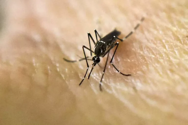 Confirman los dos primeros fallecimientos por dengue en la provincia de Córdoba