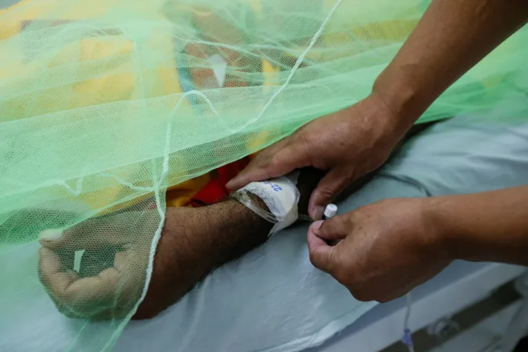 Dengue: Argentina se acerca a los 400 mil casos notificados en la temporada y registra 280 muertes