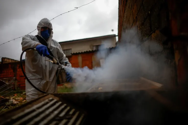 Dengue sin freno: suman más de 180.000 casos en el país y ya son 129 las personas fallecidas