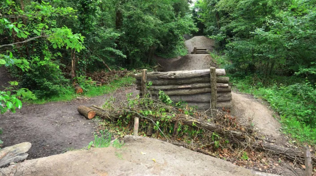 Horror en Bélgica: una chica de 14 años fue abusada por su novio y otros diez adolescentes en un bosque
