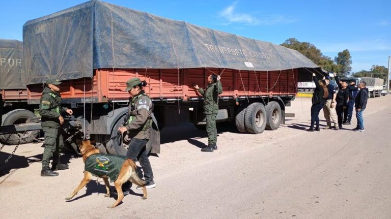 Echarán del país a los siete jóvenes ecuatorianos y el brasilero que viajaban en la caja de un camión