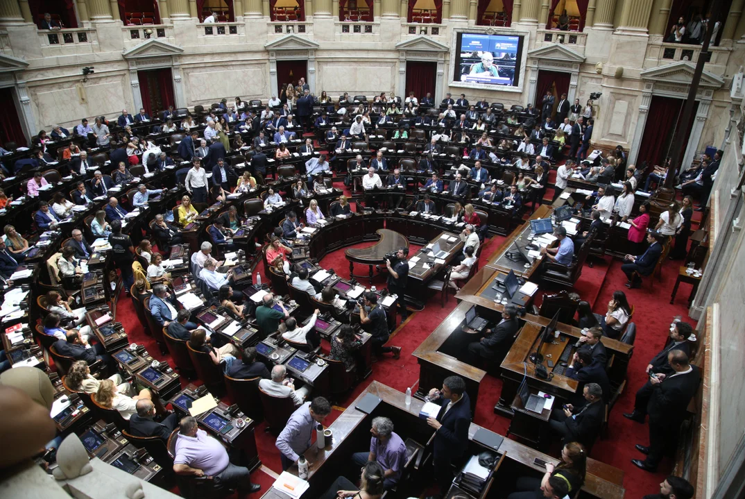 Diputados ley de bases e1715113953449