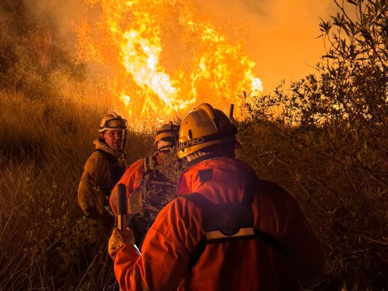 Un incendio arrasó en la zona rural de Las Varas