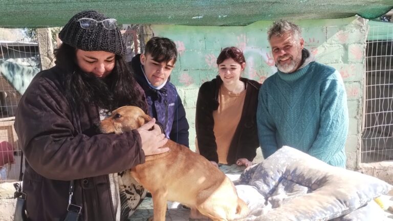 Homicidio en calle Cabrera: la mitad de los perros fueron adoptados