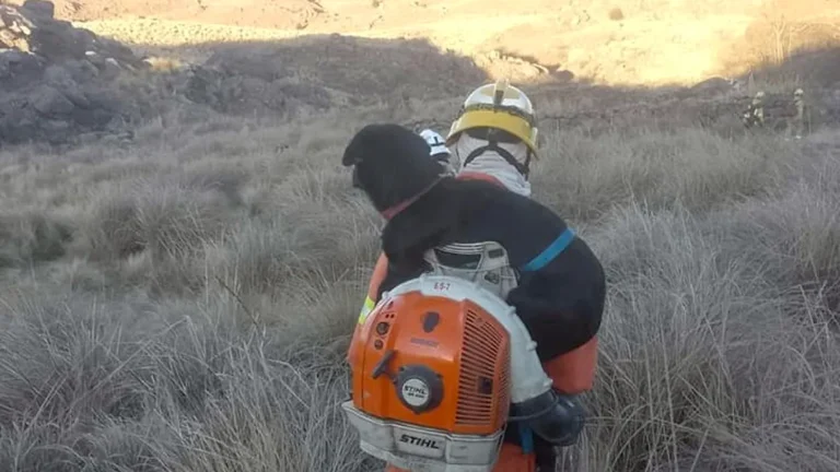 La historia detrás del rescate de un perro en el incendio del cerro Blanco