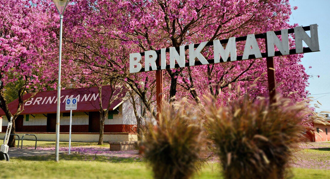 Img bienvenidos brinkmann