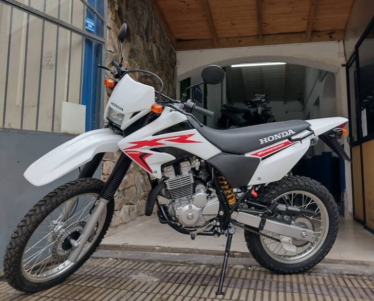 Detienen a un sanfrancisqueño por el robo de una moto en Freyre