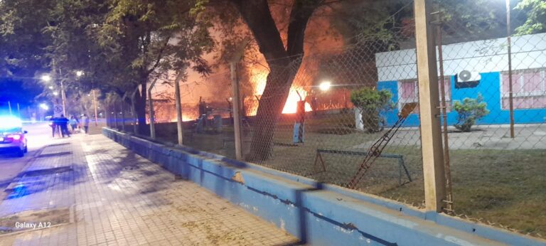 Incendio de pastizales en el Parque Cincuentenario