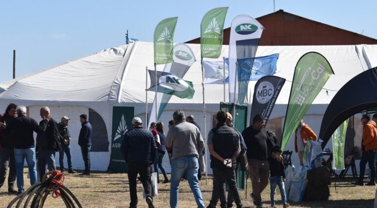  Se viene la cuarta edición de «Marull Productiva»