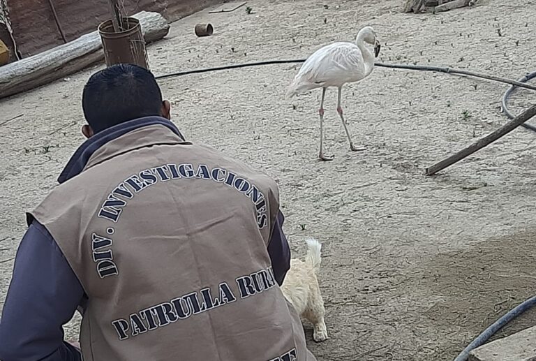 Detienen a un hombre en La Para por tenencia ilegal de fauna silvestre