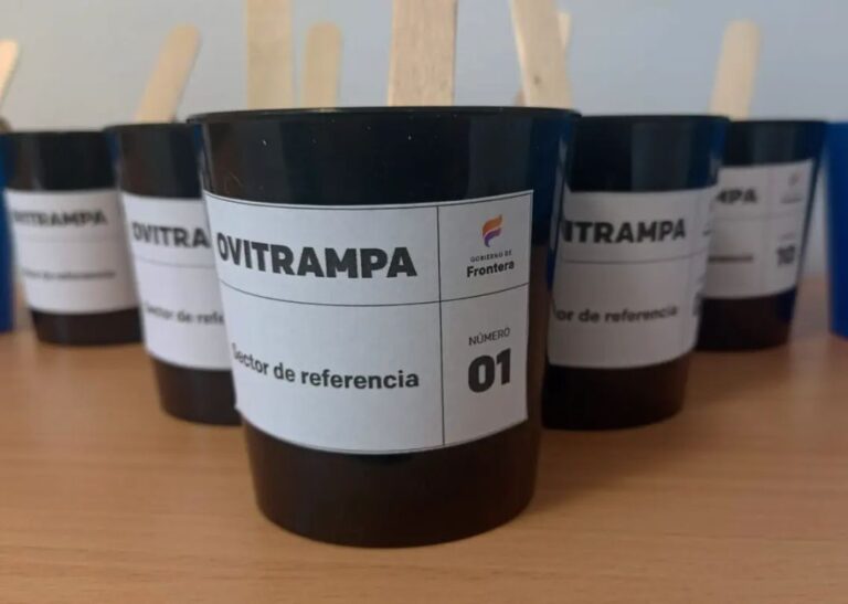 Frontera: resultados negativos en ovitrampeo para la prevención del Dengue