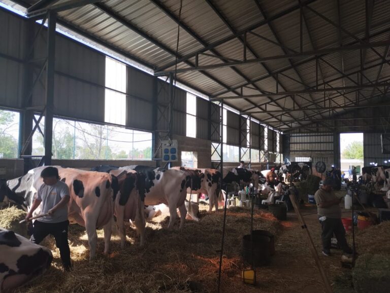 La ganadería fue protagonista en la Expo San Francisco