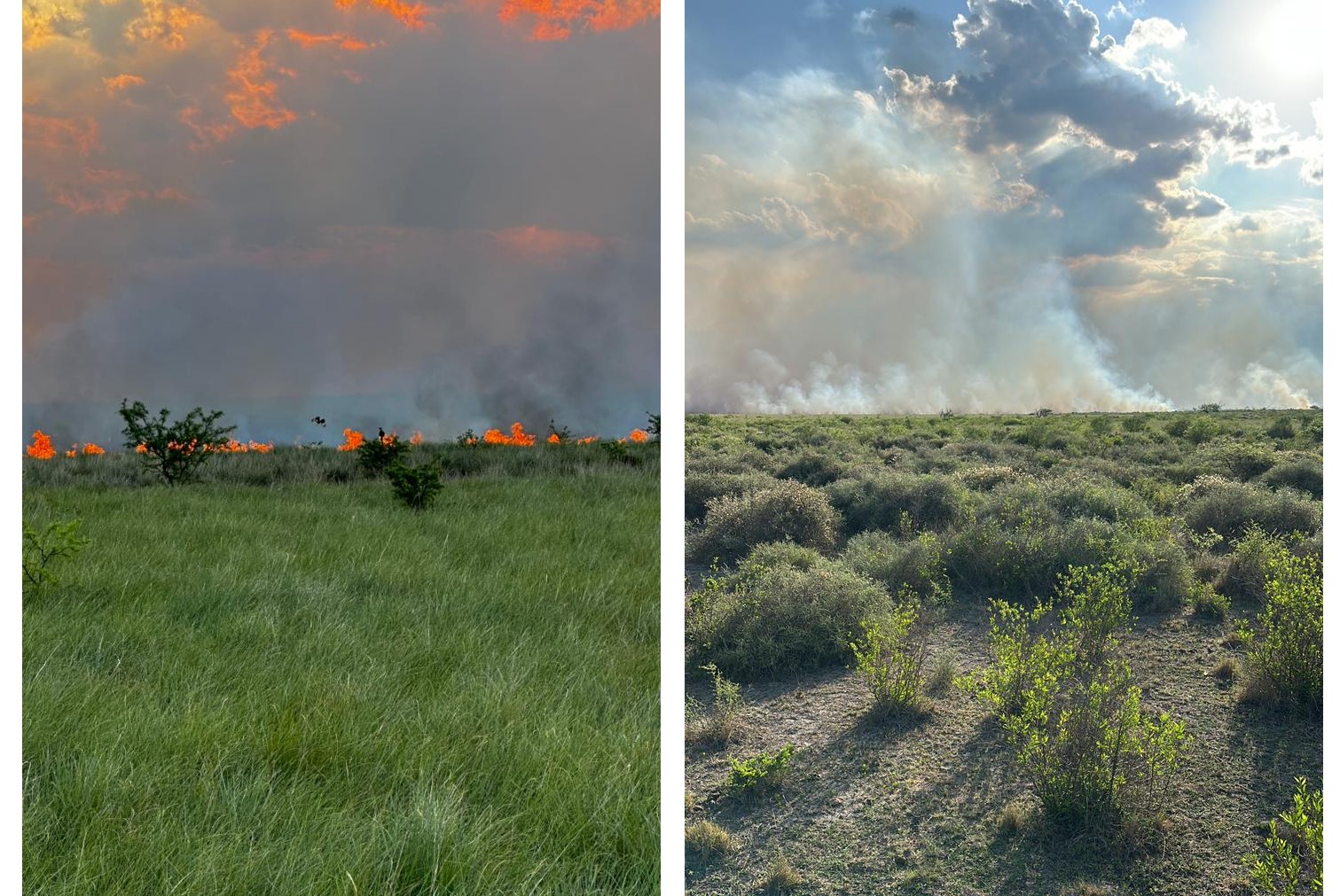 Incendio zapallar