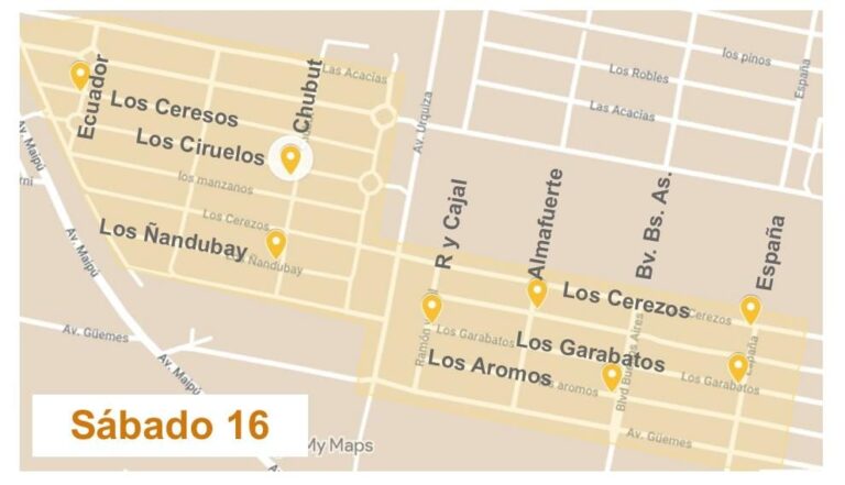 Contenedores y visitas barriales: San Francisco refuerza la lucha contra el dengue