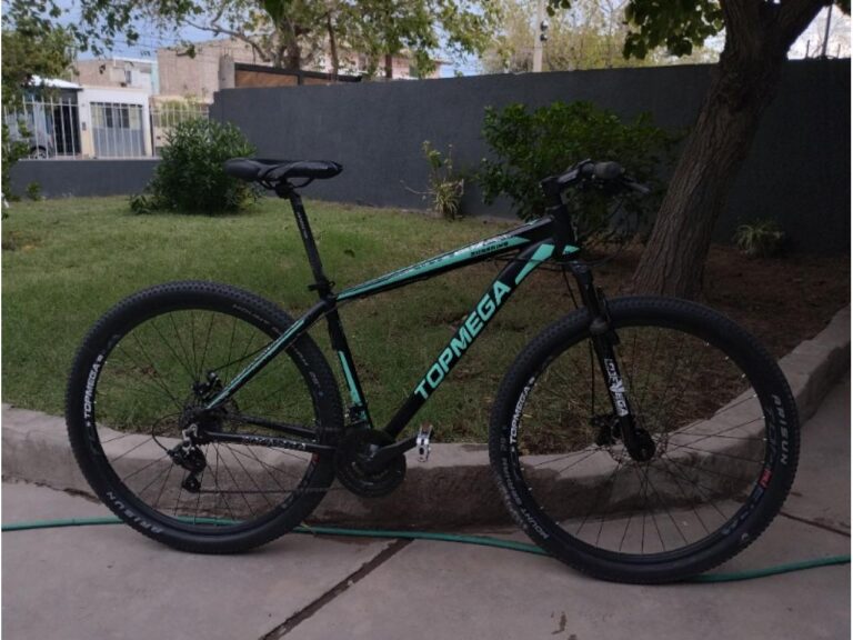 Forzaron un garage para robar una bicicleta