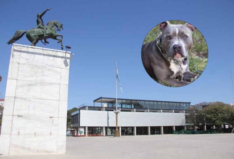 Una pitbull suelta en la Plaza Cívica mató a un caniche de 11 años