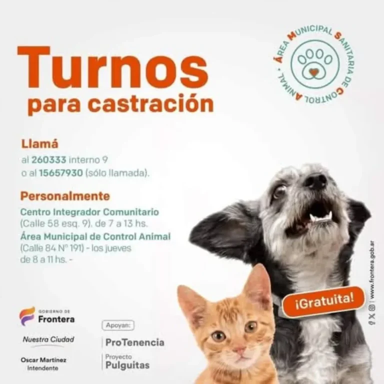 Castraciones gratuitas de perros y gatos en Frontera