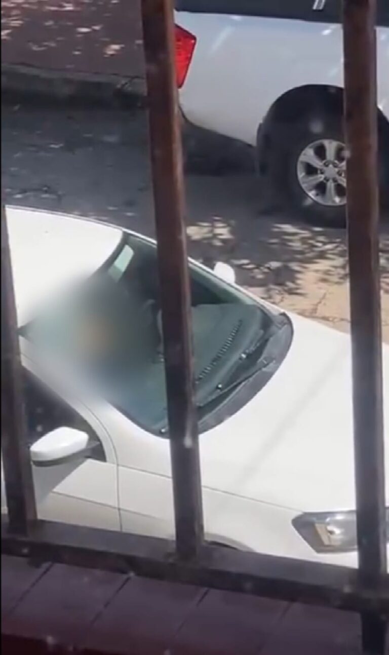 Detienen a degenerado por exhibiciones obscenas en la vía pública