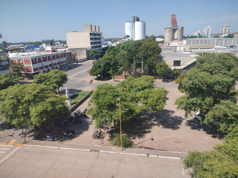 Alerta ambiental: se perderán 49 árboles históricos por la nueva Central de Policía