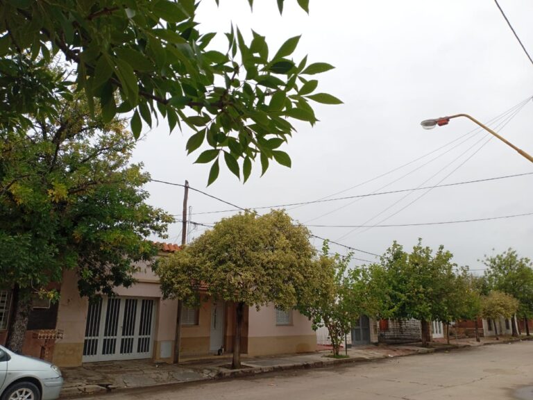 Tormentas y lluvias marcarán el domingo