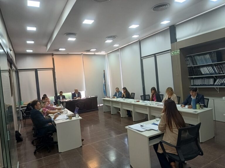 Aprobaron por unanimidad la reducción del 20% en los sueldos de la planta política