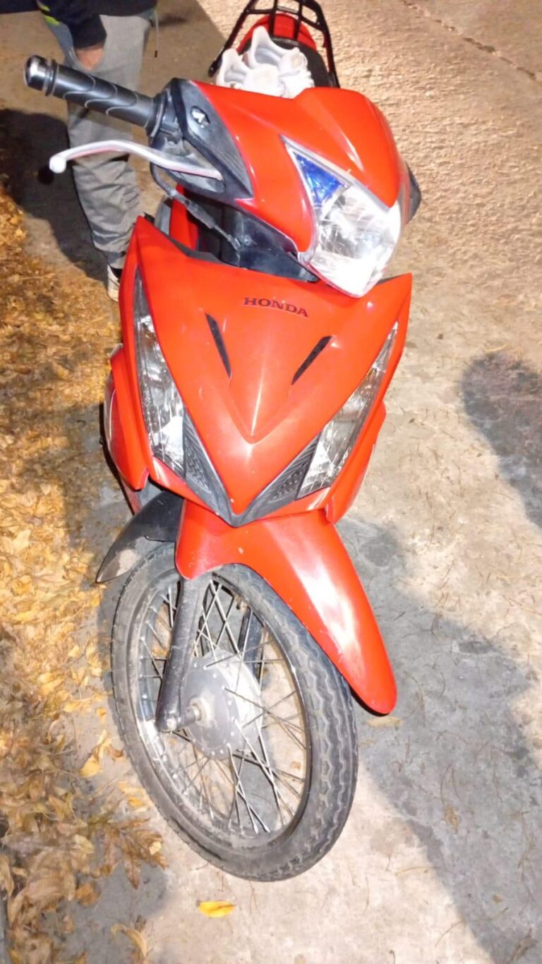 Un perro provocó la caída de una motociclista