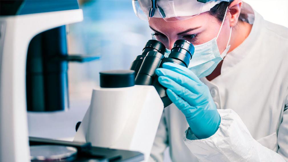1010x567 cientificos 377062
