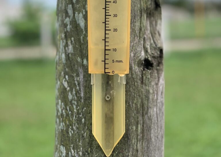 San Francisco: se registraron 12,5 mm de lluvia hasta esta mañana