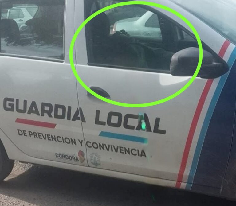 La foto viral de la semana