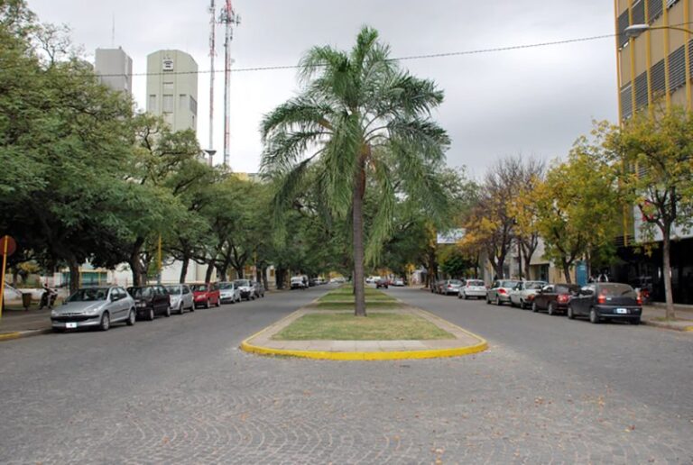 Realizaron Censo del Arbolado Urbano en barrio Iturraspe