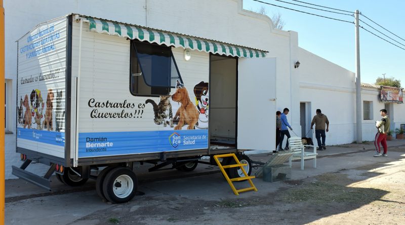 Castraciones 800x445