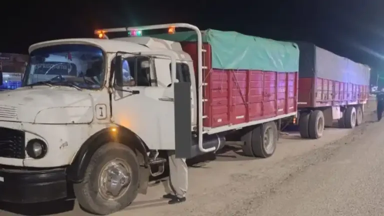 Imputaron al camionero que atropelló a una mujer sobre avenida Maipú