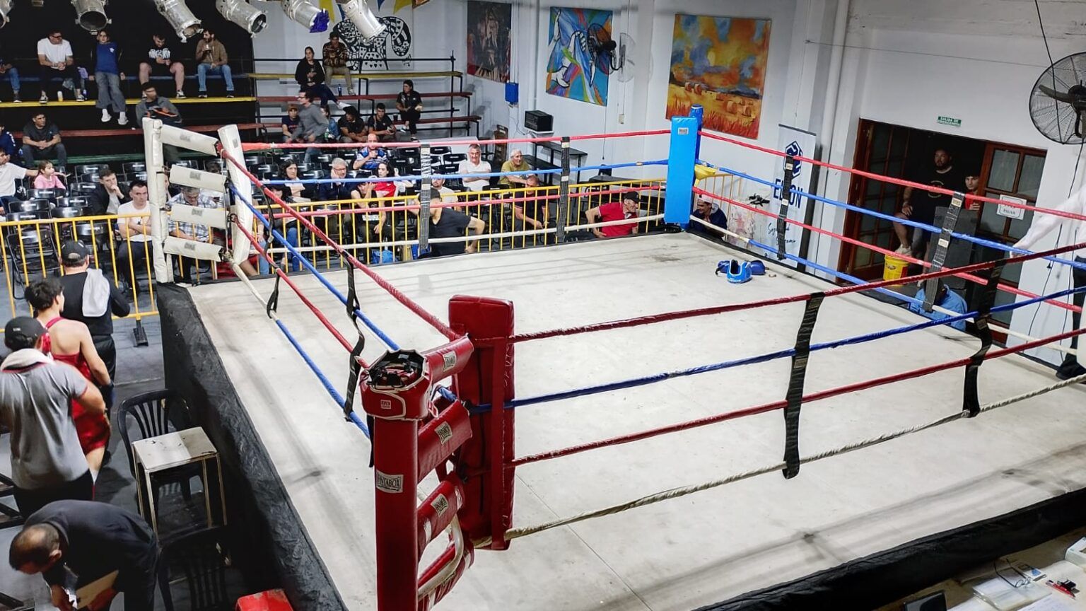 Boxeo