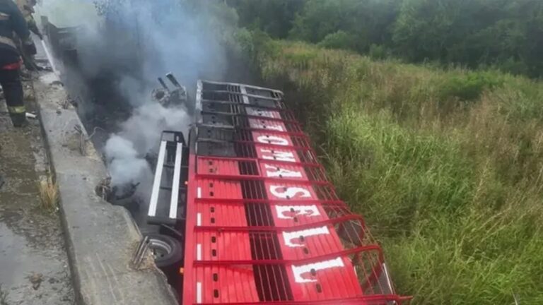 Camionero que había descargado en San Francisco murió tras un accidente en la Ruta 127