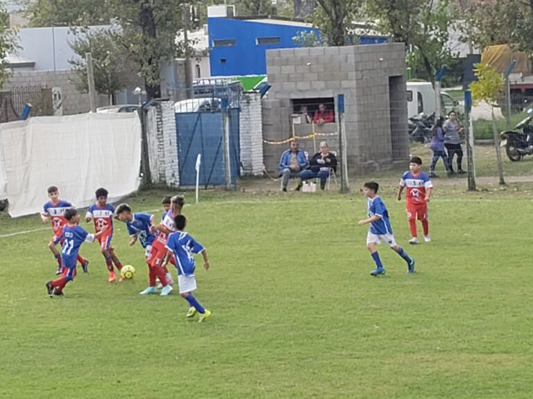 Tablas de posiciones hasta la fecha 6