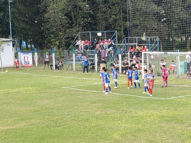 Tablas de posiciones hasta la fecha 5