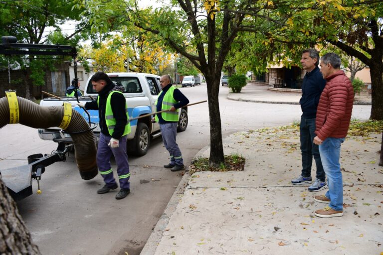 El municipio continúa trabajando en la campaña de recolección de hojas