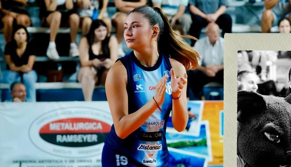 Araya